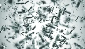 Descubren antibi&oacute;tico capaz de matar a las bacterias m&aacute;s resistentes