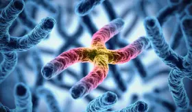 Marcada la herencia del ADN mitocondrial ta&iacute;no en Puerto Rico