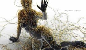 Causas de la Esclerosis Múltiple