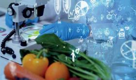 El rol de la nutrición en la Esclerosis Múltiple