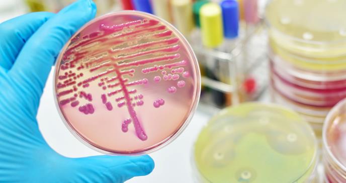 Así es la Klebsiella, una superbacteria que resiste a los antibióticos y se contagia en los hospitales