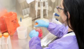 Estrés crónico afectaría el tratamiento del cáncer de ovario
