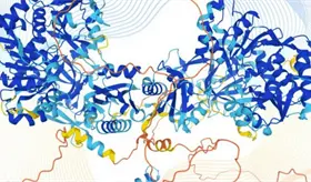 Comunidad cient&iacute;fica mundial celebra acceso a base de datos del proteoma humano