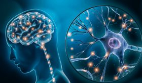 El cerebro detecta más rápido la ira que alegría