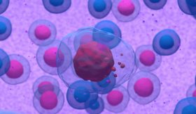 Descifran el epigenoma del mieloma múltiple, un agresivo cáncer de la sangre