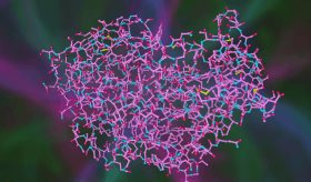 Péptidos involucrados en la migraña podrían ayudar a prevenir la diabetes
