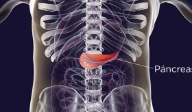 Estudio muestra resultados en tratamiento con implante de células madre en pacientes con diabetes tipo 1