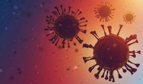 Ómicron no afecta el sentido del olfato: diferencias sintomatológicas con otras variantes