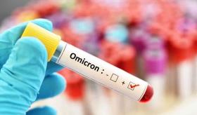 Ómicron se propaga 70 por ciento más rápido que Delta en los bronquios