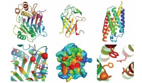 Estos son los avances científicos más importantes de 2021 según la revista ´Science´