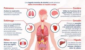 Lo que el alcohol le hace al organismo - Infografía