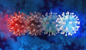 Datos reveladores sobre el impacto de la subvariante XE, de COVID-19