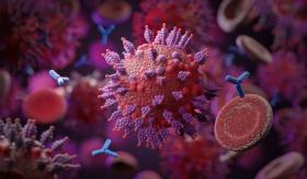 OMS anuncia que fueron detectadas 2 nuevas subvariantes de Ómicron 