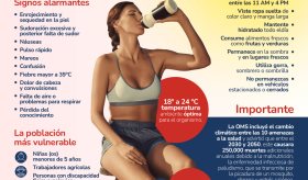 Golpe de Calor - Infografía