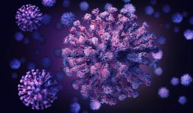 Director de la OMS: Estamos cada vez más ciegos sobre la transmisión del COVID-19