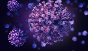 La nueva variante de ómicron Centaurus que ya ha sido detectada en ocho países