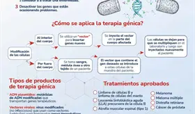 Como funciona la terapia g&eacute;nica? - infograf&iacute;a