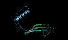 Descubren biomarcadores comunes entre la enfermedad cardiovascular y el Alzheimer