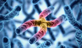Investigadores identificaron 48 genes relacionados con la p&eacute;rdida auditiva