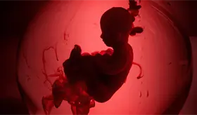 Ectog&eacute;nesis, la nueva tecnolog&iacute;a que permite desarrollar embriones en &uacute;teros artificiales