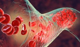 Avances en la fisiopatología de la ß-talasemia