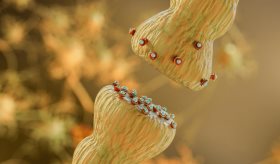 Oxitocina: encargada de generar respuestas emocionales después de un encuentro sexual