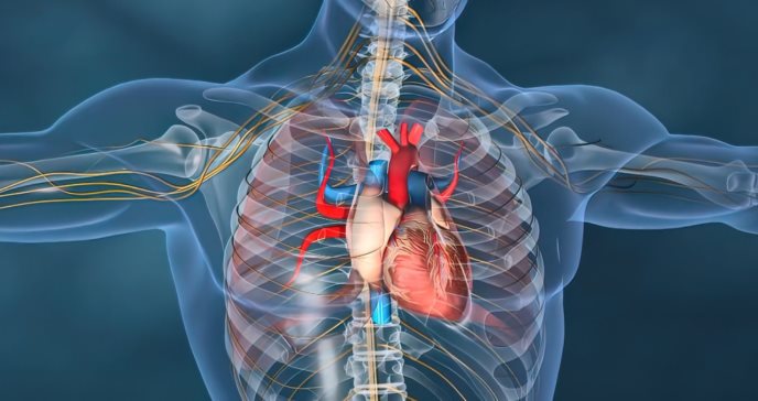 Expertos sugieren multiplicadores de riesgo cardiovascular para las enfermedades reumáticas