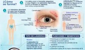 El porqué de las lágrimas - Infografía
