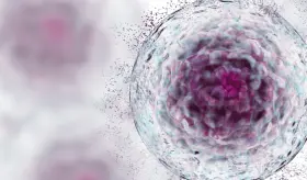 Por primera vez, mujer logra remisión de VIH y Leucemia por trasplante de células madre