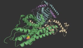 Descifrar el olfato: científicos crean primera imagen 3D de cómo una molécula activa un receptor de olor