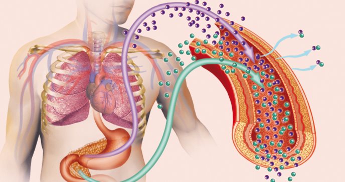 ¿Qué le sucede al cuerpo si deja de consumir azúcar definitivamente?