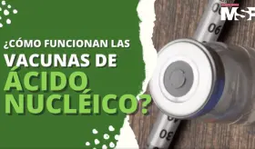 ¿Cómo funcionan las vacunas de ácido nucleico - ADN? - #ExclusivoMSP