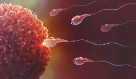 Donante de esperma que engendró a 550 hijos deja de donar por temor a posibles casos de incesto