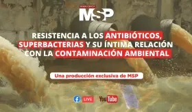 Resistencia a antibióticos, superbacterias y su relación con la contaminación ambiental - #MSP