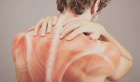 Fascia: el tejido conectivo que puede estar detrás de tus dolores y rigidez corporal