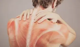 Fascia: el tejido conectivo que puede estar detrás de tus dolores y rigidez corporal