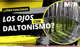 &iquest;C&oacute;mo funciona el daltonismo? - #ExclusivoMSP