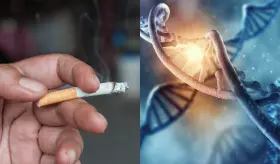 Fumar en la adolescencia puede da&ntilde;ar los genes de sus futuros hijos