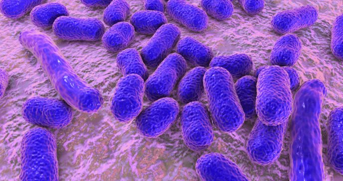 Descubren potencial bacteria que detecta y destruye tumores cancerígenos