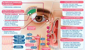 Aparato lagrimal | Infografía