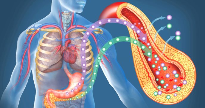 ¿Qué son el fenómeno del alba y el efecto Somogyi en diabetes y por qué fluctúa el nivel de glucosa?