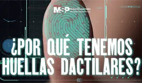 &iquest;Por qu&eacute; los humanos tenemos huellas dactilares? - #ExclusivoMSP