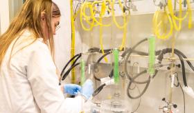 Desarrollan nuevo antiinflamatorio no esteroideo "AG5" capaz de suprimir la tormenta de citoquinas