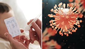 Influenza: aumentan casos en Estados Unidos y Puerto Rico pero COVID-19 domina hospitalizaciones