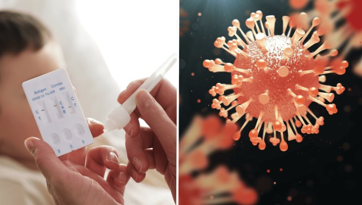 Influenza: aumentan casos en Estados Unidos y Puerto Rico pero COVID-19 domina hospitalizaciones Influenza: aumentan casos en Estados Unidos y Puerto Rico pero COVID-19 domina hospitalizaciones