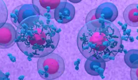 Estudio descubre potencial terapia combinada en el tratamiento del linfoma difuso de células B grandes
