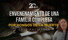 Envenenamiento de una familia completa por hongos de la muerte: Caso Partterson
