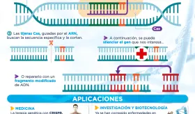 CRISPR, la revolucionaria herramienta de edici&oacute;n de ADN | Infograf&iacute;a