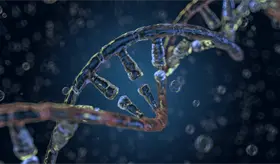 Cient&iacute;ficos crean interruptor que activa o desactiva genes de manera controlada en la terapia gen&eacute;tica