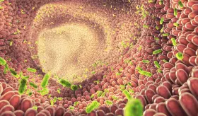 Composición de la microbiota intestinal influiría en la gravedad de las infecciones respiratorias